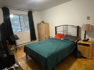 4 1/2 À louer - Brossard Image# 1