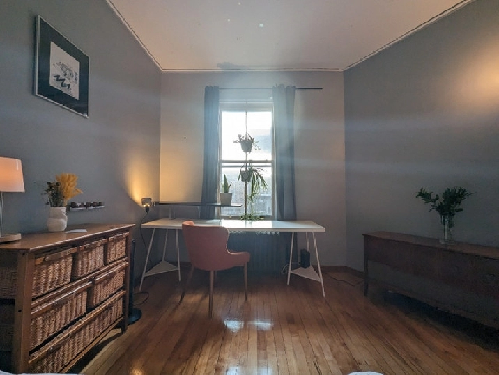 Chambre à louer / Room in NDG in City of Montréal,QC - Room Rentals & Roommates