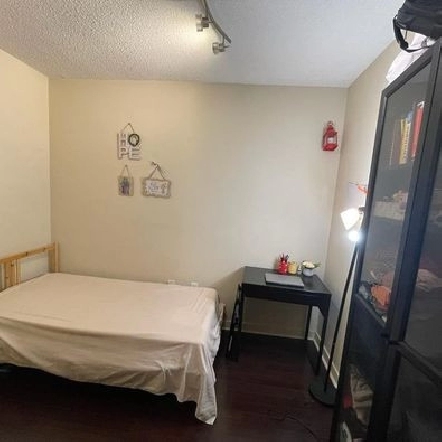Den for Rent in Downtown Toronto in City of Toronto,ON - Room Rentals & Roommates