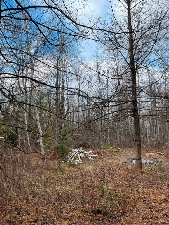 Beautiful 2.7 acre treed lot ready for you to build your dream! in Ottawa,ON - Land for Sale