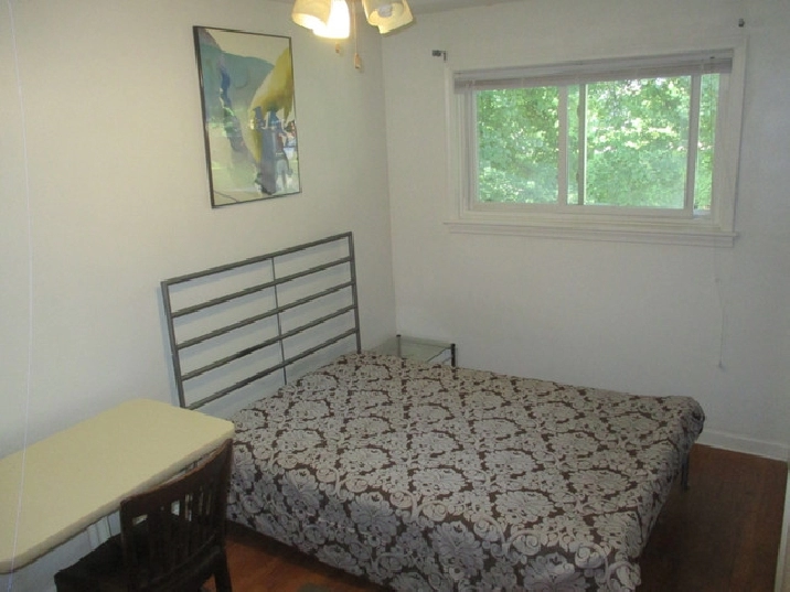 Amazign Furnished Room Clean Quiet Single Home Near Algonquin ! in Ottawa,ON - Room Rentals & Roommates