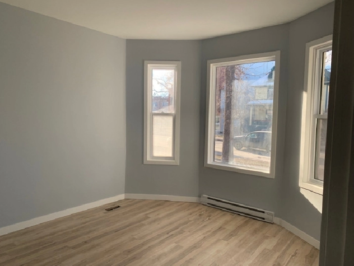 newly renovated 1 bedroom in Wolseley in Winnipeg,MB - Apartments & Condos for Rent