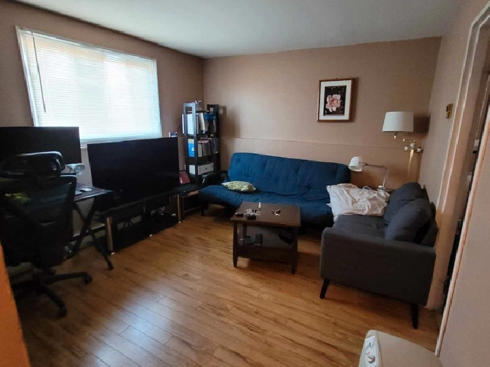 East 1 bedroom Bonita ave in Saint John,NB Apartments & Condos for Rent