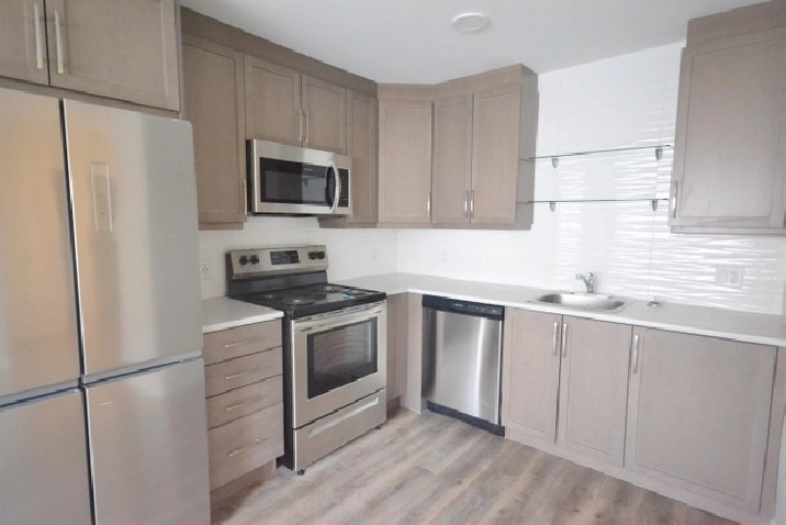 Sublet - renovated 1 bedroom, Downtown! with amazing views! in Winnipeg,MB - Apartments & Condos for Rent