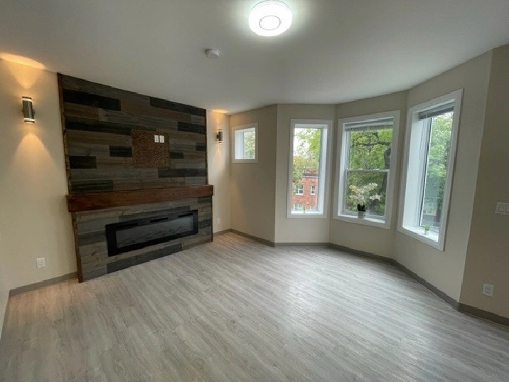 181 Balmoral St, recently renovated one bedroom apartments in Winnipeg,MB - Apartments & Condos for Rent