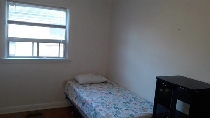 Main Floor Room, shared bath for single in City of Toronto,ON - Room Rentals & Roommates