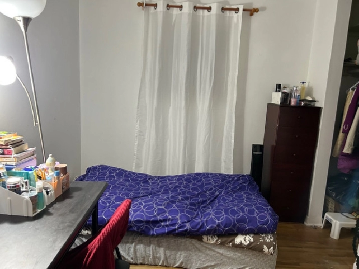 Room available for rent close to Algonquin in Ottawa,ON - Room Rentals & Roommates