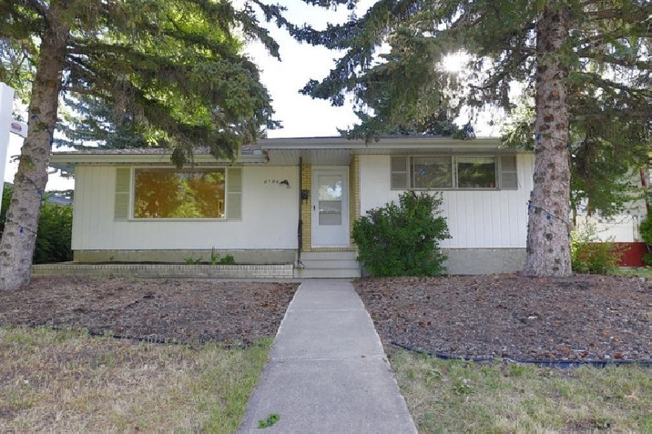 Large Basement Suite for Rent in Huntington Hills - Jan. 1st in Calgary,AB - Apartments & Condos for Rent