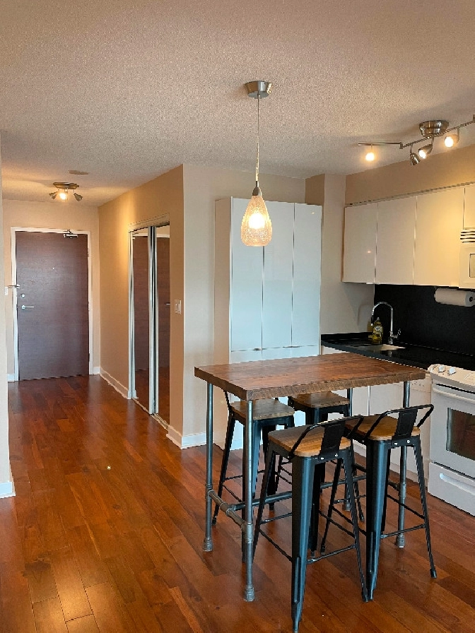 1 Bedroom Downtown Condo Available January 1st in City of Toronto,ON - Apartments & Condos for Rent