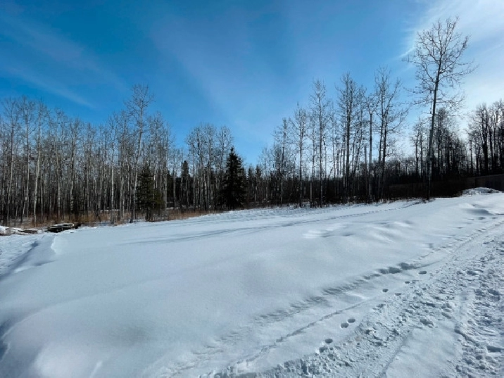 2.69 Acres Is Waiting For You Rural Lac Ste. Anne County in Edmonton,AB - Land for Sale