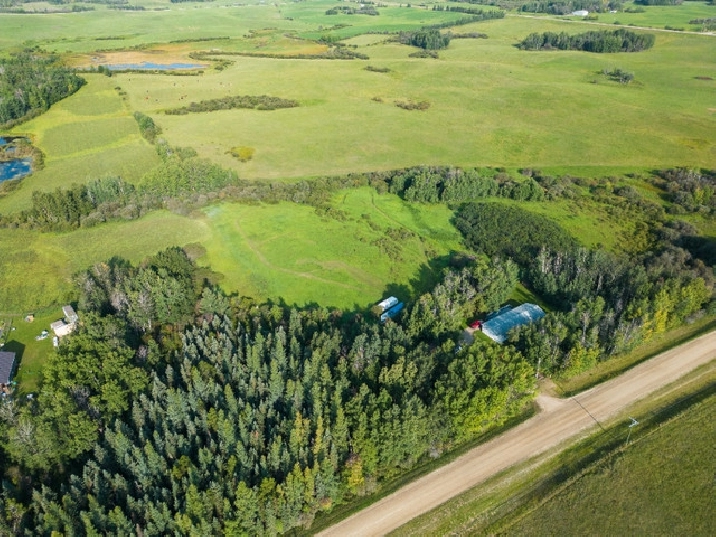 Beautiful 5 Acres Rural Parkland County in Edmonton,AB - Houses for Sale