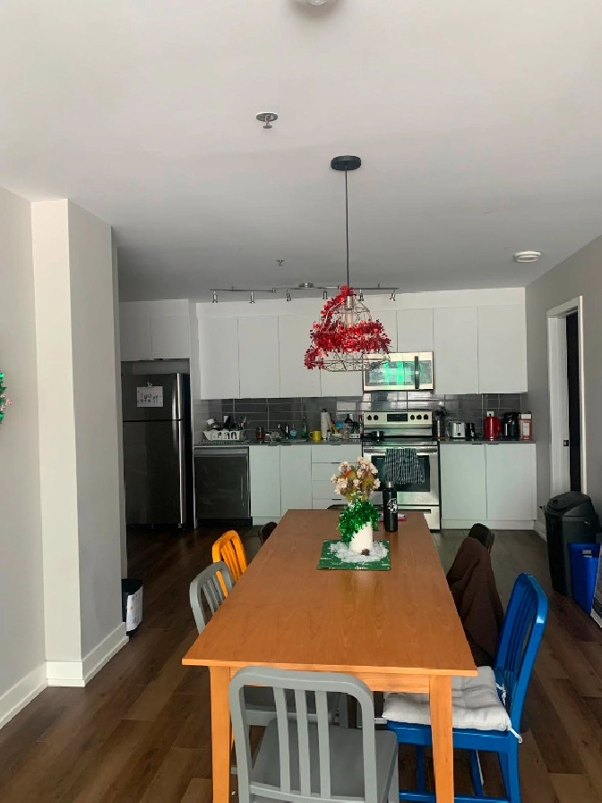 Lease takeover 1 bedroom 1 bathroom in a shared female apartment in Ottawa,ON - Room Rentals & Roommates
