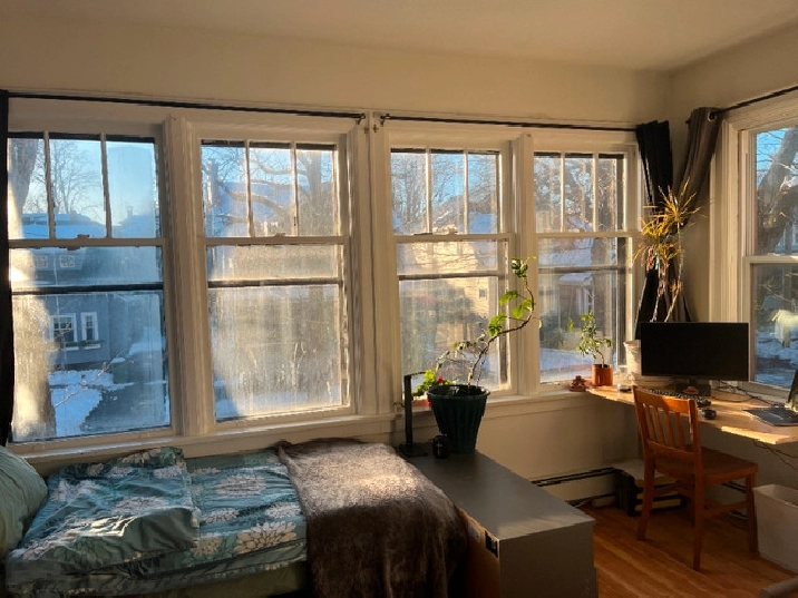 Sublet or Lease Takeover - 1663 Henry St - January 1st in City of Halifax,NS - Apartments & Condos for Rent
