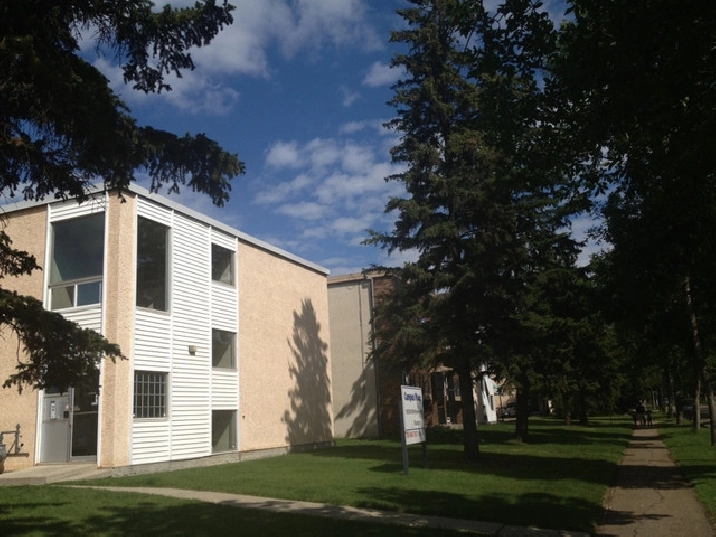 1 bd apartmet by NAIT/Kingsway Mall at 11916-105 St in Edmonton,AB - Apartments & Condos for Rent
