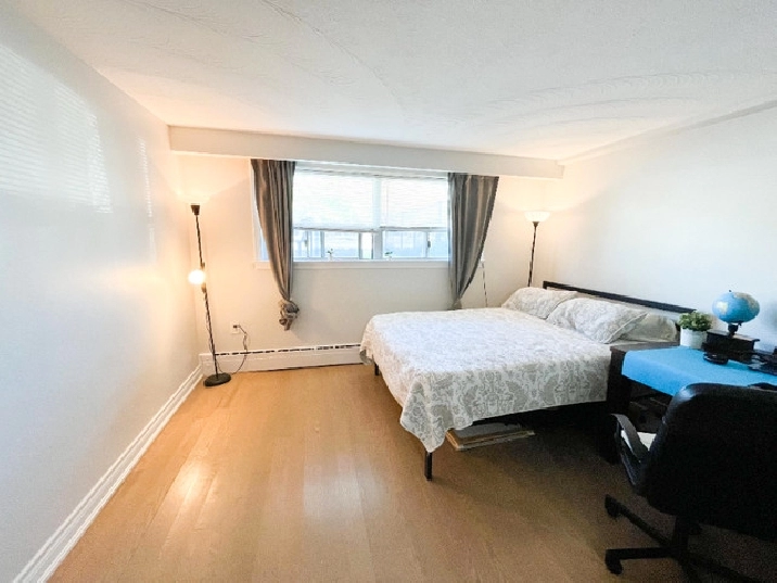 Available January 1. Serious inquiries only.
Newly Renovated Mimico Studio Apartment in City of Toronto,ON - Apartments & Condos for Rent
