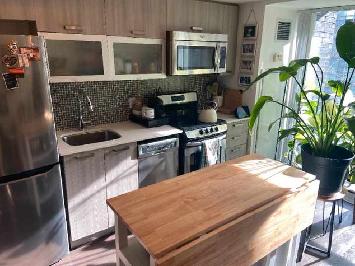 1 Bed Den Apartment in Downtown Toronto (Queen West) for Rent in City