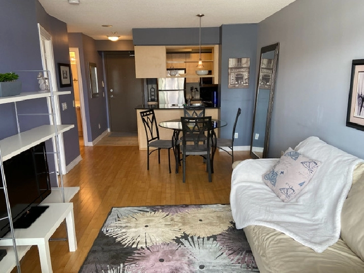 Brand new fully furnished & equipped 1 bdrm suite in Oakville / Halton