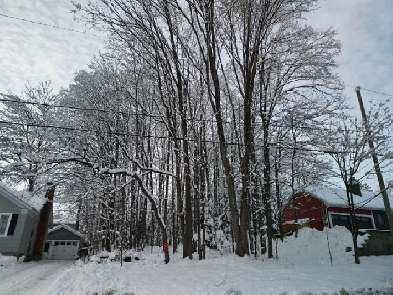 Terrain à vendre : Spring Garden Image# 1