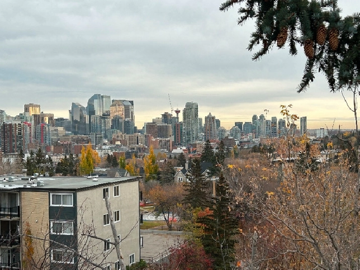 Spectacular Bankview duplex & lot with downtown view in Calgary,AB - Houses for Sale