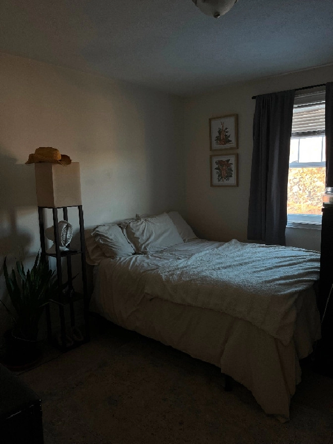 February- April room sublet! in Fredericton,NB - Short Term Rentals