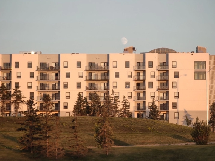 Sublease 2 bedroom & 2 baths apartment near the UM in Winnipeg,MB - Apartments & Condos for Rent