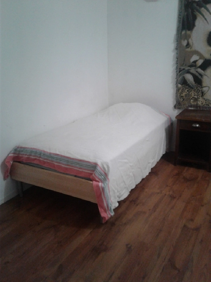 MALE ROOM VACANT FURN PH 4036677854 in Calgary,AB - Room Rentals & Roommates