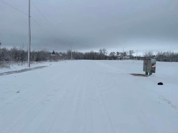 2 Acre Lot in Ste Anne RM Next To Greenspace! in Winnipeg,MB Land for Sale