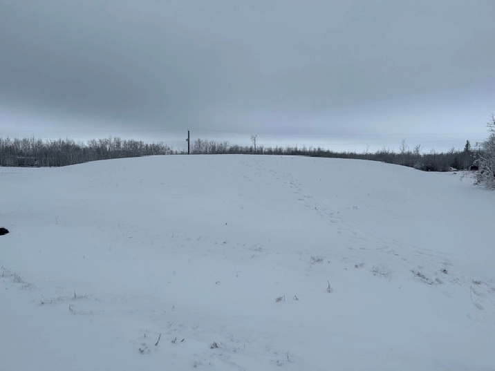 2 Acre Lot in Ste Anne RM Next To Greenspace! in Winnipeg,MB Land for