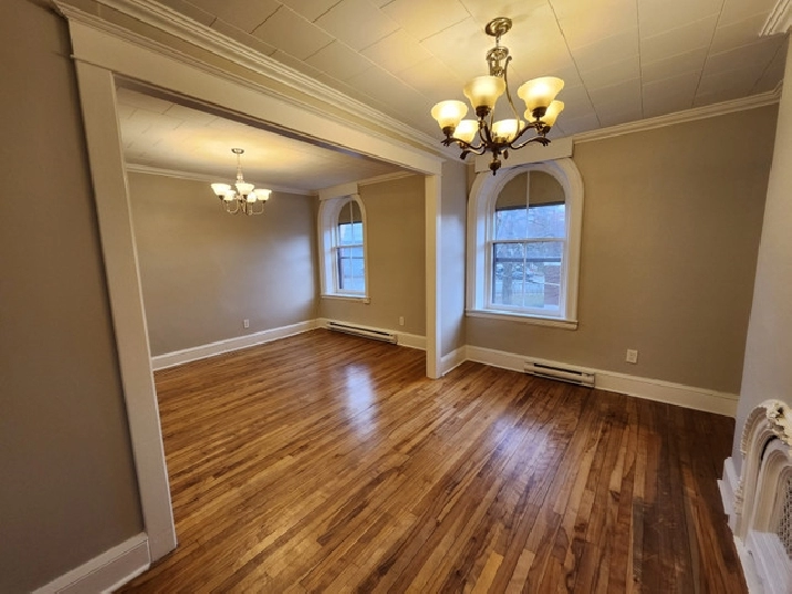 95 Hazen Large 2 bedroom Unit Close to St Joseph's Hospital! in Saint