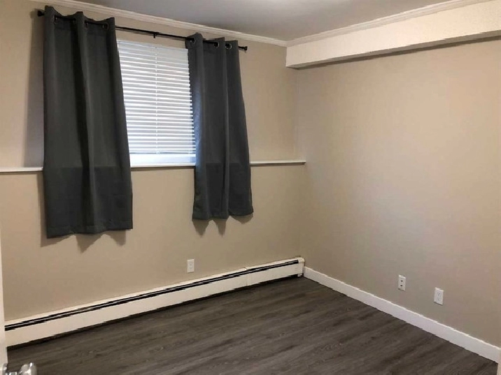Newly Renovated One Bedroom Condo! in Calgary,AB - Apartments & Condos for Rent