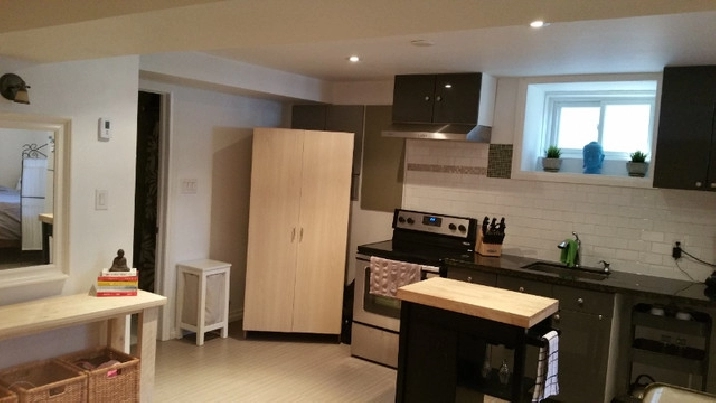 Lower Annex Renovated Open Bachelors Basement Apartment in City of Toronto,ON - Apartments & Condos for Rent