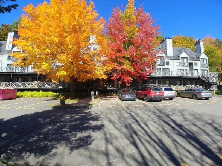 Condo Piedmont in Laval / North Shore,QC Condos for Sale