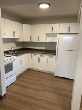 Maples - 1 bedroom - January 1, 2024 in Winnipeg,MB - Apartments & Condos for Rent