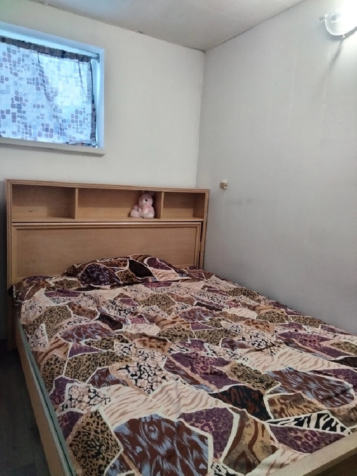Room available in basement in Winnipeg,MB - Room Rentals & Roommates