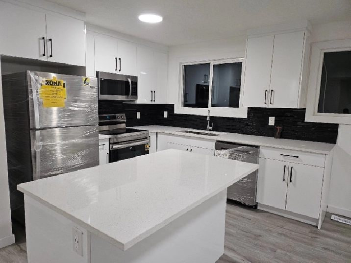 Newly renovated 3BR 1Bath Main Floor in Edmonton,AB - Apartments & Condos for Rent