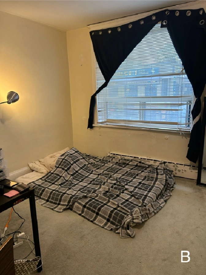 a private room available in a 2 bedrooms 1 bath apt in City of Toronto,ON - Room Rentals & Roommates