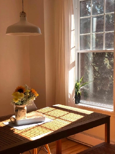 Appartement 5 1/2 - Two-bedroom apartment Image# 1