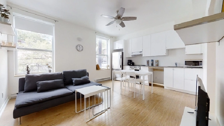 Appartement collocation 3 personnes - plateau Mont royal in City of Montréal,QC - Apartments & Condos for Rent