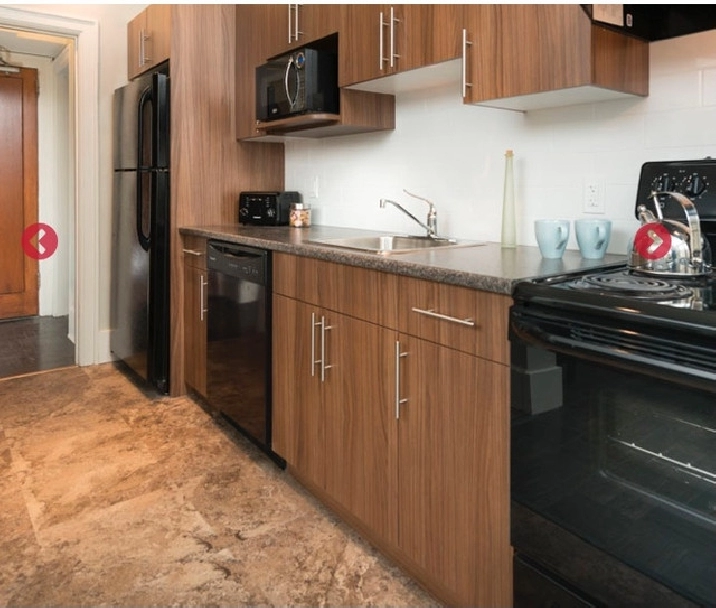 Beautiful 1 bedroom sublet in Winnipeg,MB - Apartments & Condos for Rent