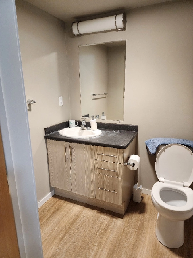 Master bedroom with Private washroom for rent for female in NE C in Calgary,AB - Room Rentals & Roommates