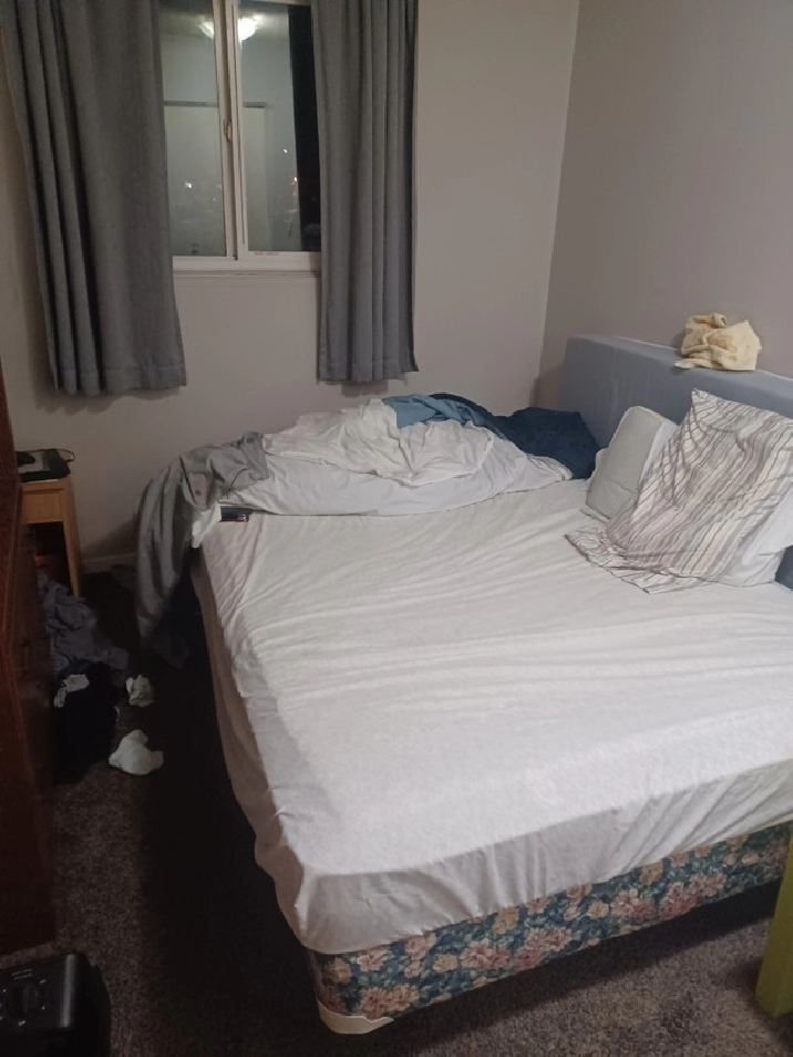 Room for rent in Calgary,AB - Room Rentals & Roommates
