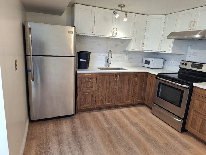 Renovated Basement Apartment for Rent January 1, 2024 in Winnipeg,MB - Apartments & Condos for Rent
