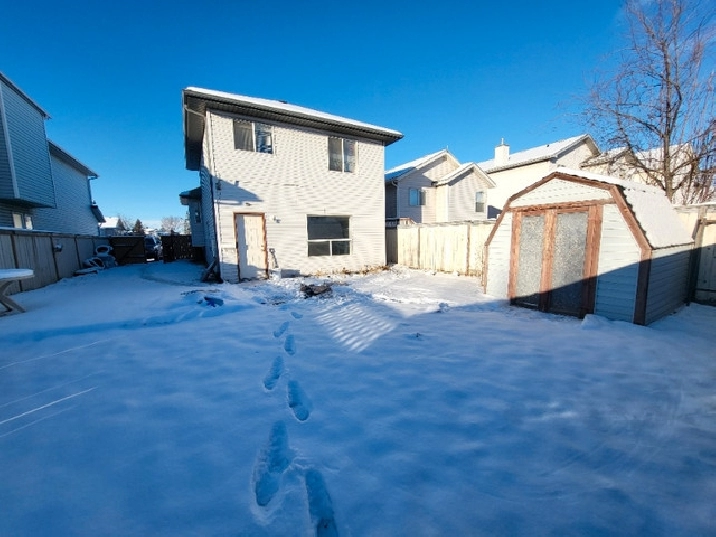 BASEMENT SUITE including utilities, Walk out in Calgary,AB - Apartments & Condos for Rent