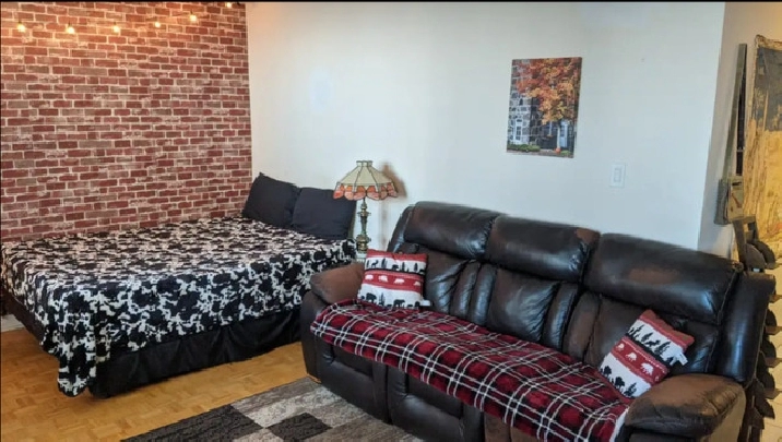 Bachelor Apt. to rent for 3 to 4 Months in Downtown Toronto in City of Toronto,ON - Short Term Rentals