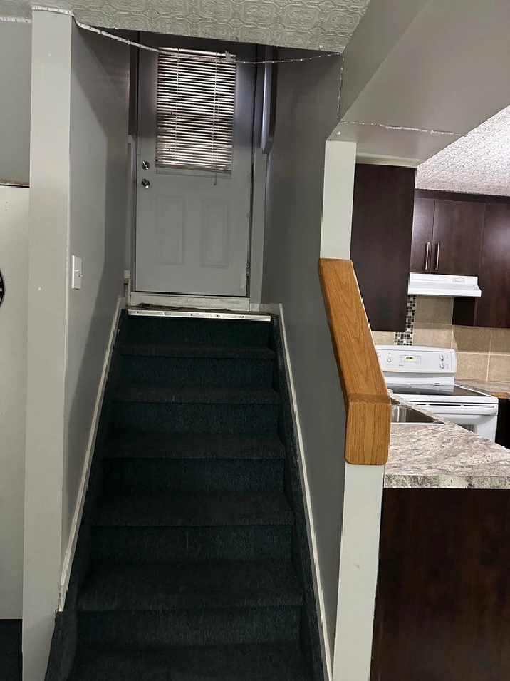 Basement for Rent in Calgary,AB - Apartments & Condos for Rent