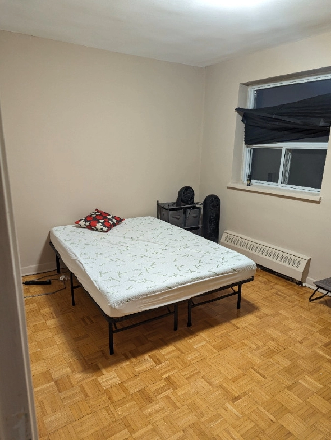 Room available in Lakeshore from 1st Feb 2024 in City of Toronto,ON - Room Rentals & Roommates