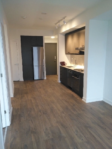 Downtown New 1 1 condo at King /Bathurst, Available now
