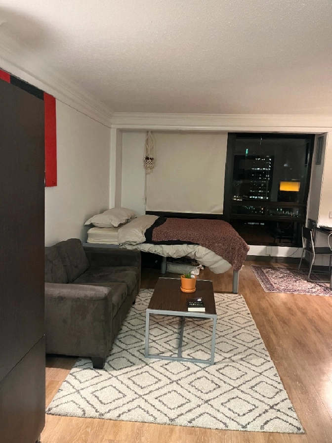 Centretown OTT - Single Suite - 9 mo sublet - 1600 all inclusive in Ottawa,ON - Apartments & Condos for Rent