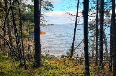 Bras d'Or Lake Waterfront Property