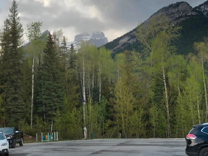 Fernie Lot For Sale in Cranbrook,BC Land for Sale